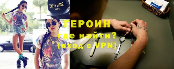 индика Няндома