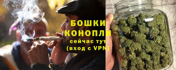 прущие грибы Абдулино
