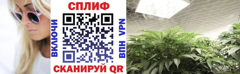 Каннабис план  Старый Оскол 